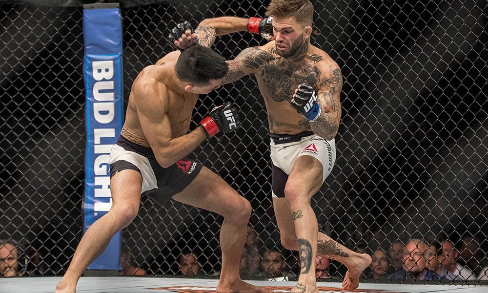 May 29, 2016; Las Vegas, NV, USA; Cody Garbrandt (blue gloves) punches Thomas Almeida (red gloves) during UFC Fight Night at Mandalay Bay Events Center. Mandatory Credit: Joshua Dahl-USA TODAY Sports