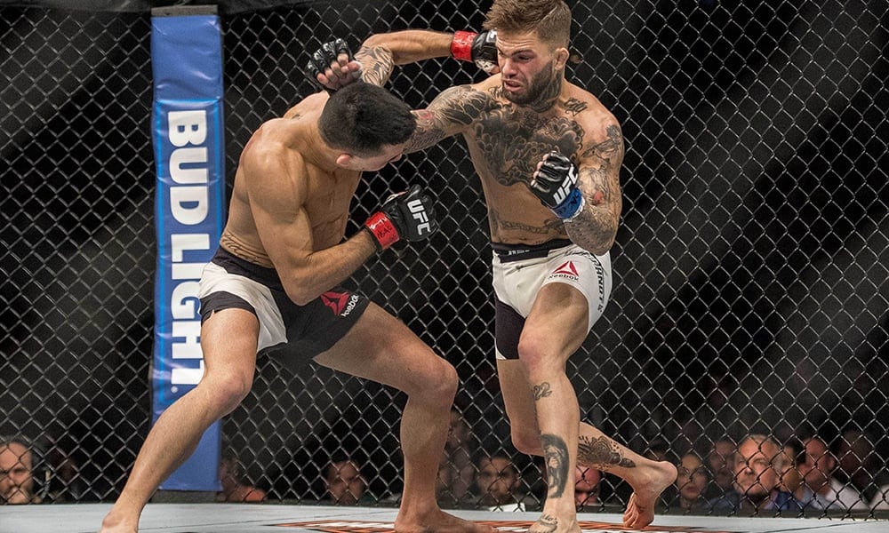 Dominick Cruz & Cody Garbrandt Share Heated Twitter Exchange 2 May 29, 2016; Las Vegas, NV, USA; Cody Garbrandt (blue gloves) punches Thomas Almeida (red gloves) during UFC Fight Night at Mandalay Bay Events Center. Mandatory Credit: Joshua Dahl-USA TODAY Sports