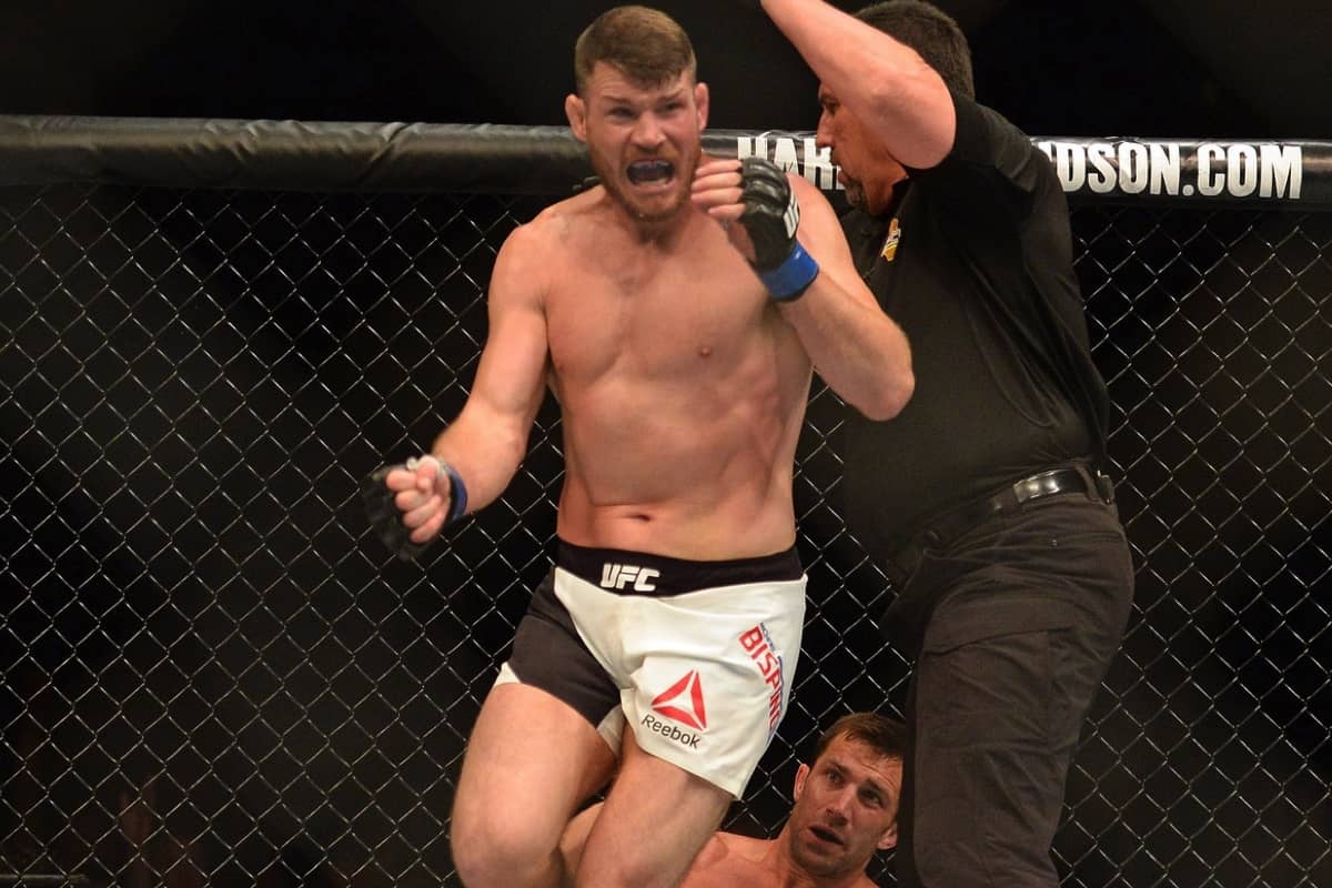 Best Of The Best: The Top 12 MMA Knockouts Of 2016 9 BispingCelebratesRockholdKO