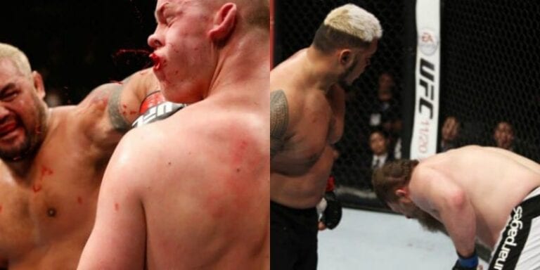 Eight Times Mark Hunt Absolutely Destroyed His Opponent