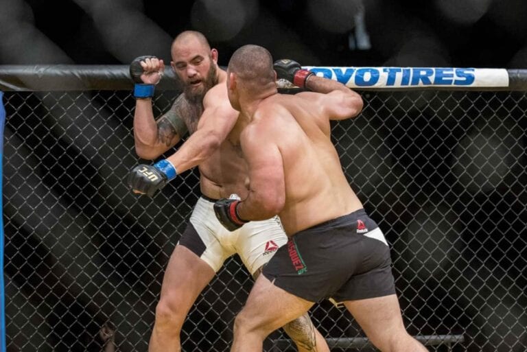 Cain Velasquez vs Travis Browne Full Fight Video Highlights