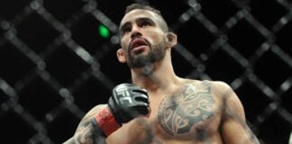 Ponzinibbio