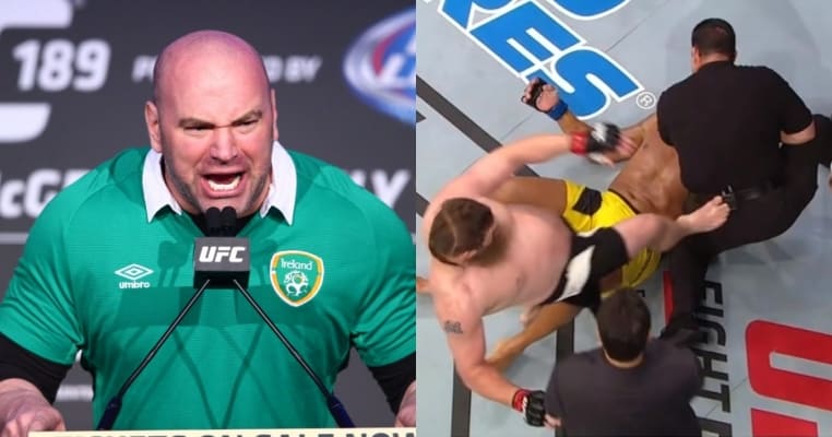 Dana White Slams Roy Nelson After Referee Kick In Brazil