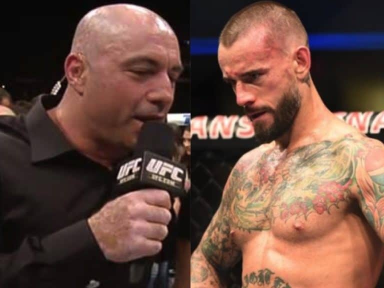 Joe Rogan Has Some Advice For CM Punk After UFC 203