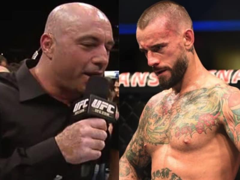 Joe Rogan CM Punk