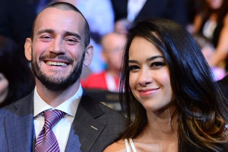 CM Punk Granted Licensing Waiver To Fight At UFC 203