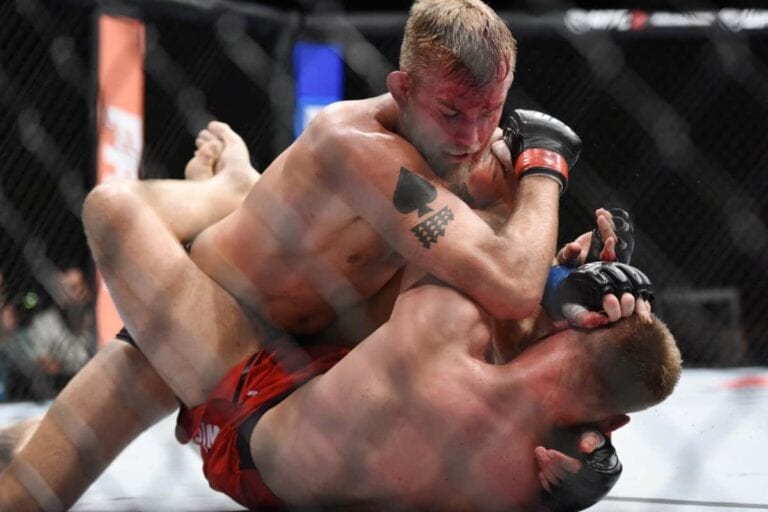 Alexander Gustafsson vs. Jan Blachowicz Video Highlights