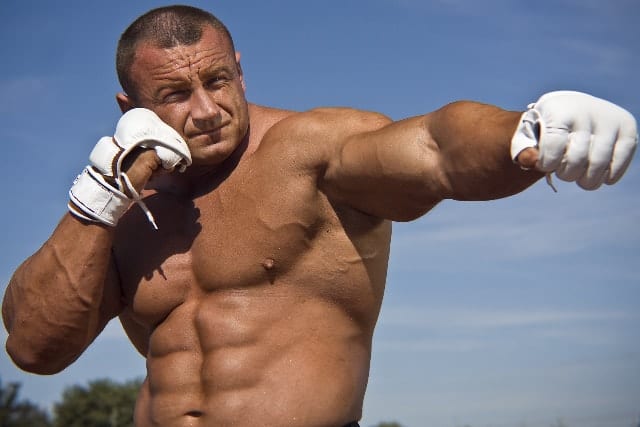 Top 10 Largest Fighters In MMA History