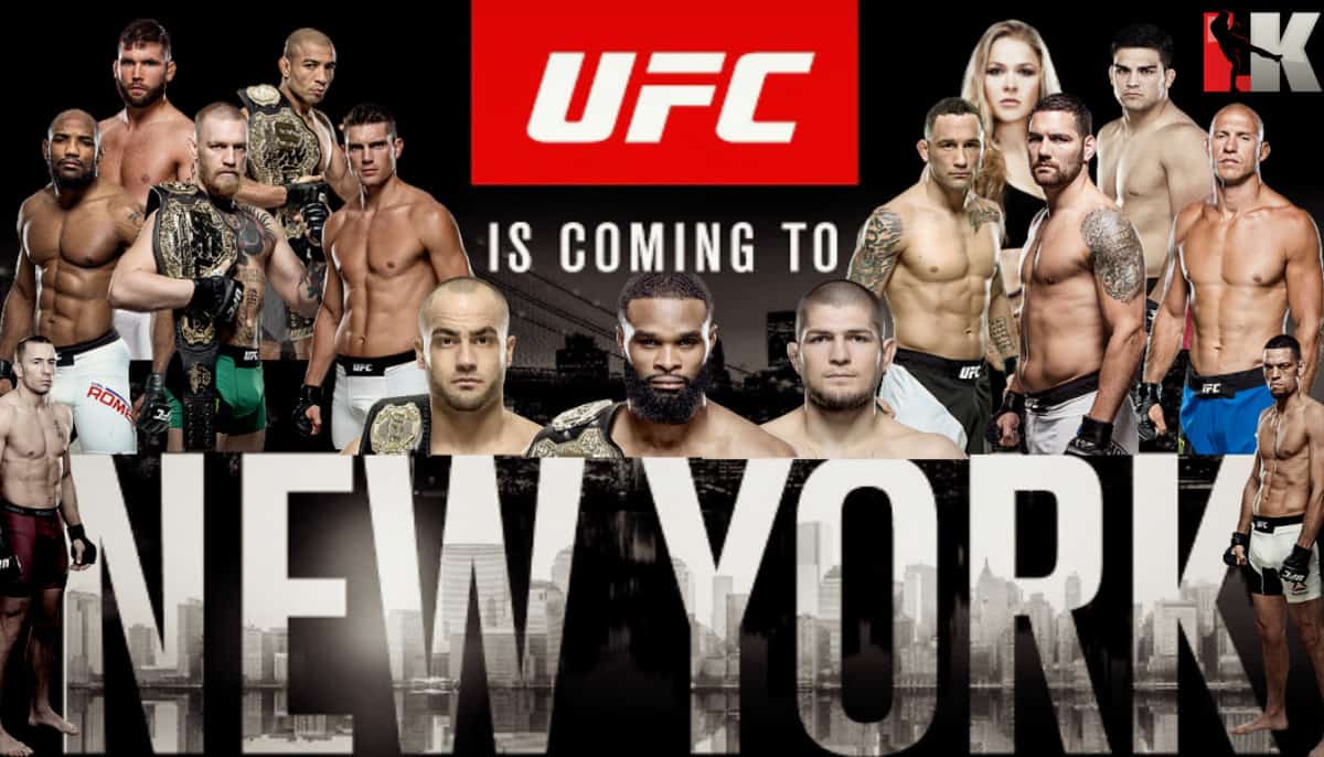 ufc 205