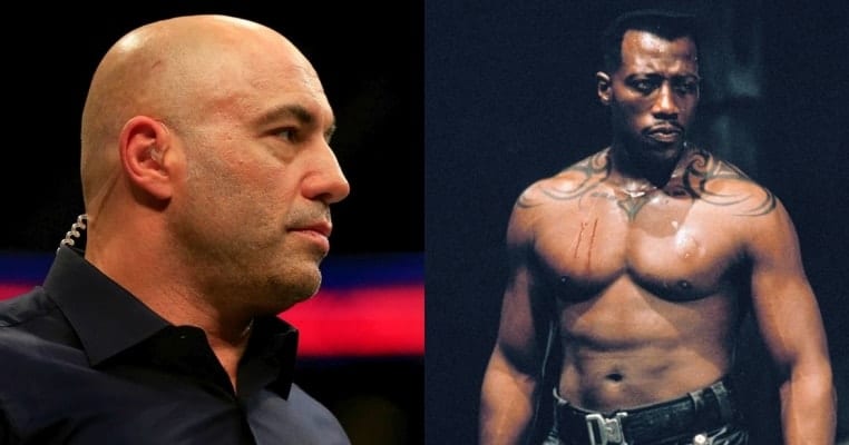 Joe Rogan: I Would’ve Choked The F*** Out Of Wesley Snipes