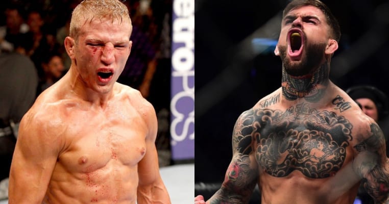 TJ Dillashaw Calls Out Cody Garbrandt: He Doesn’t Want To Fight Me