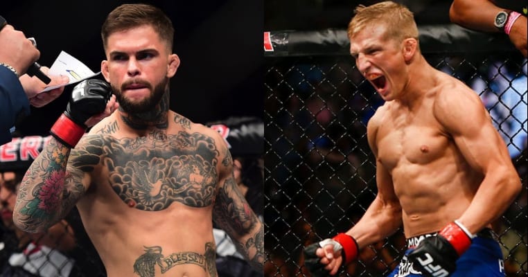 Cody Garbrandt Continues His Assault On ‘Juicy Snake’ TJ Dillashaw