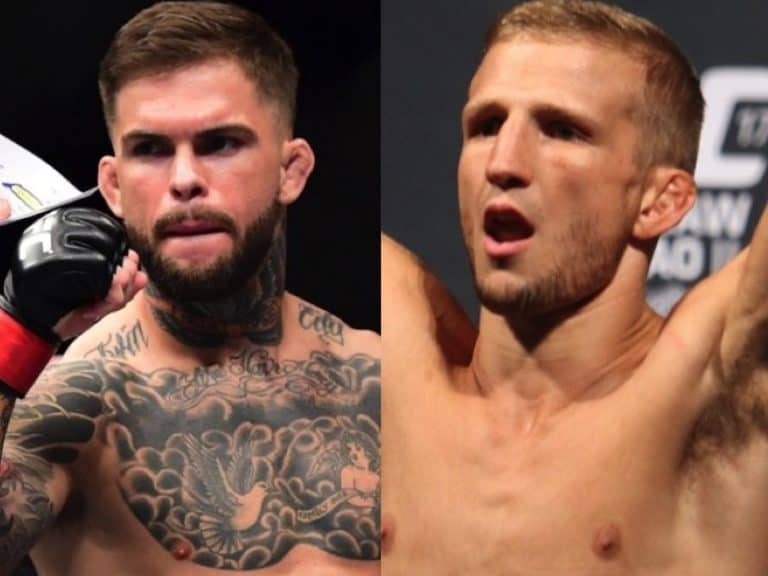 TJ Dillashaw Seeks Redemption From Team Alpha Male Against Garbrandt