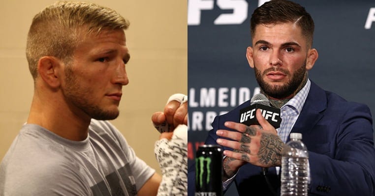 TJ Dillashaw Blasts Cody Garbrandt: I Was Never Close With Him