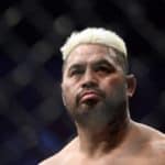 Mark Hunt