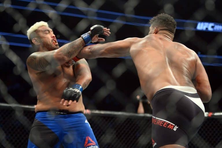 Alistair Overeem vs. Mark Hunt Full Fight Video Highlights