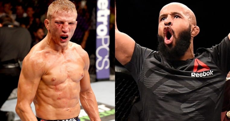 TJ Dillashaw Targeting Fight With ‘Scared’ Demetrious Johnson For July