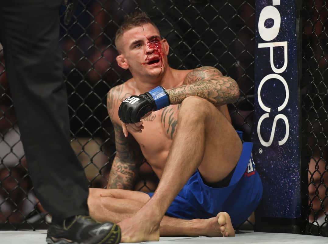 dustin poirier pop figure