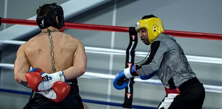 Conor McGregor Apparently Wanted Paulie Malignaggi Fight In The UFC