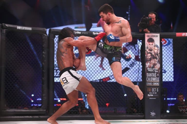 Bellator 183 Medical Suspensions: Six Fighters Face Long Layoffs