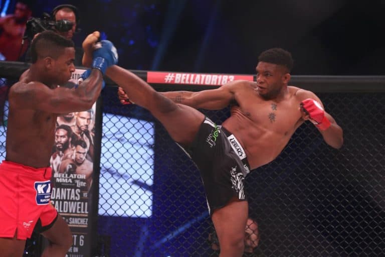 Paul Daley Claims Bellator Released Him, But Promotion Disagrees