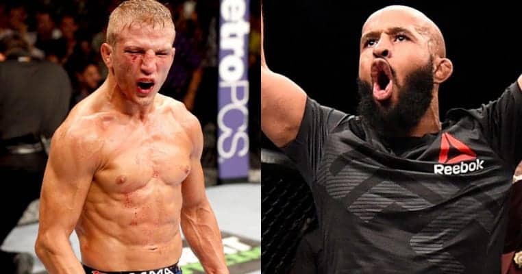 Michael Bisping Explains Why Demetrious Johnson Needs To Fight TJ Dillashaw