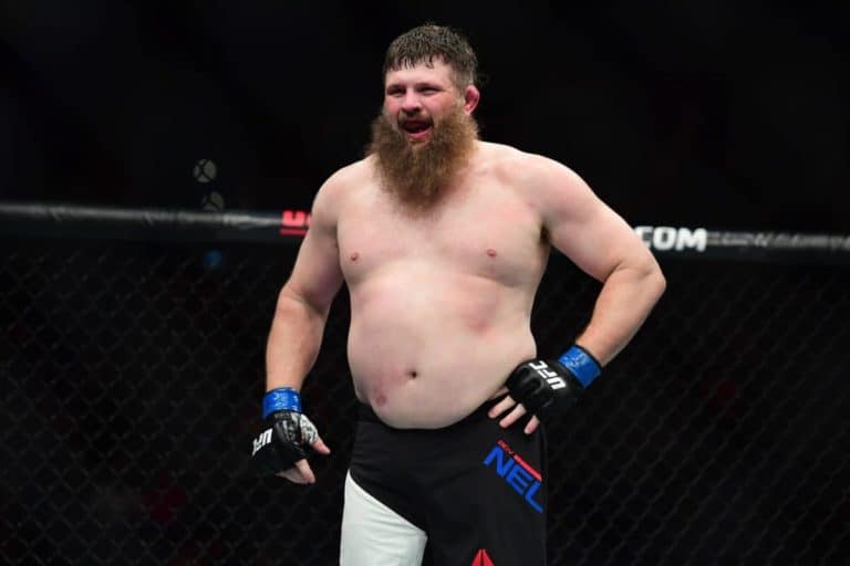 Roy Nelson Returns At Bellator 207