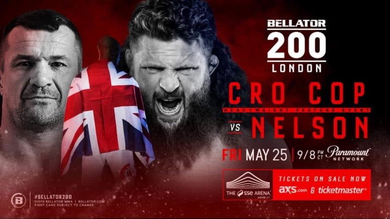 Mirko Cro Cop vs. Roy Nelson Set For Bellator 200