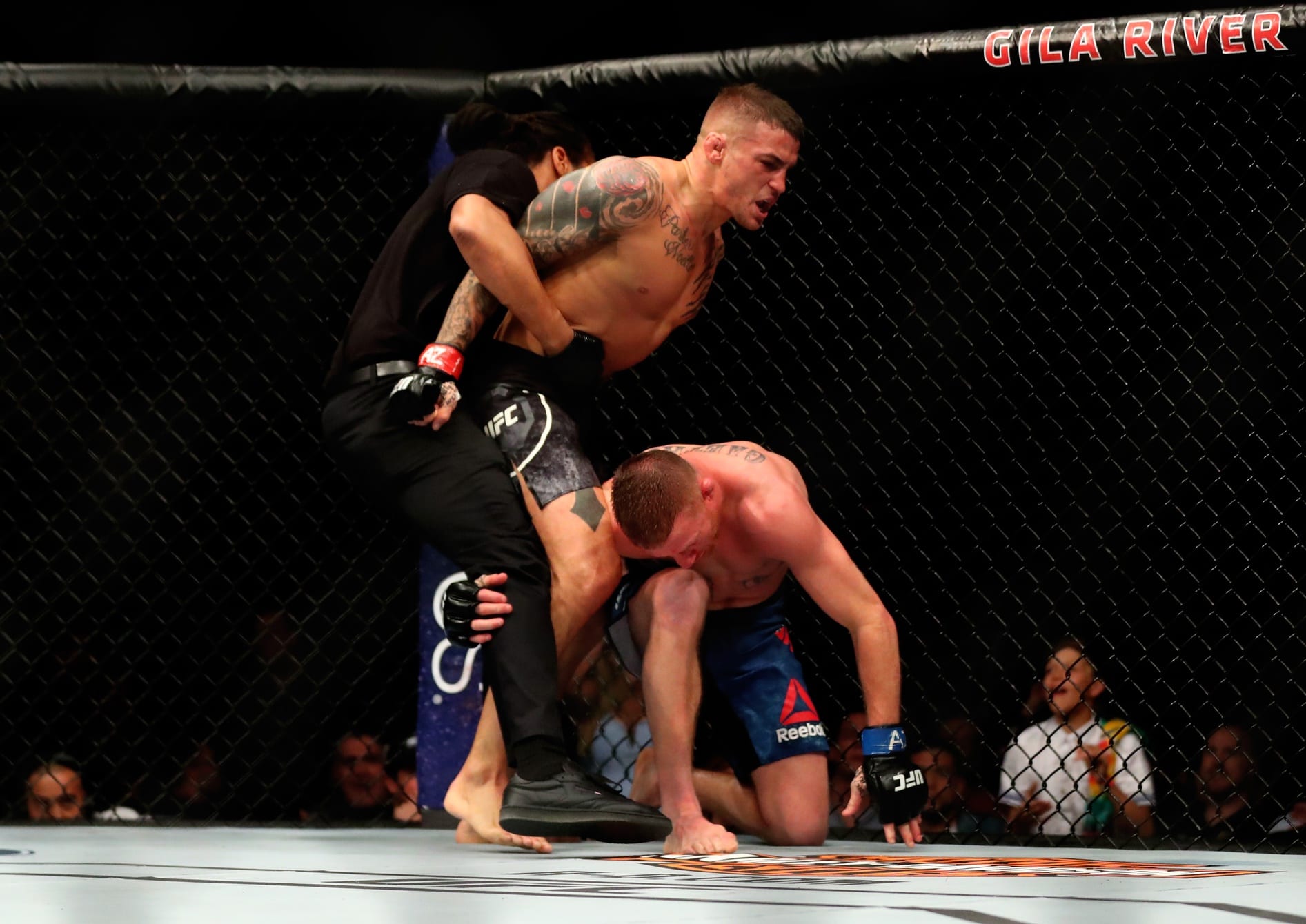 мма психология. мма психология. бен аскрен корешков. микс файт. смешанные боевые единоборства мма.