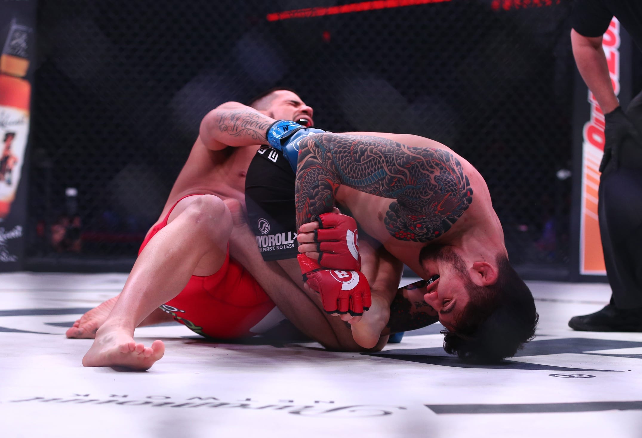 Highlights Dillon Danis Scores Rare Submission In MMA Debut
