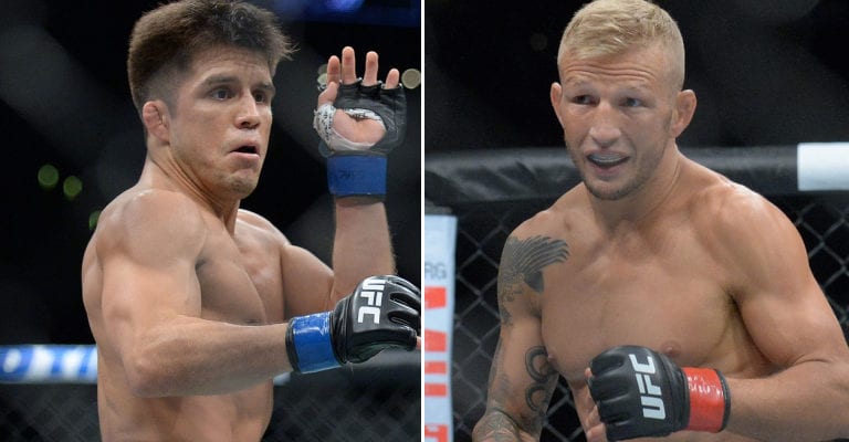 Henry Cejudo Promises To Knock TJ Dillashaw Out
