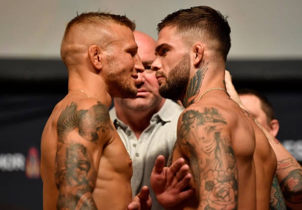 Garbrandt Dillashaw