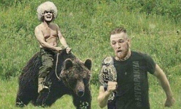 Khabib McGregor Bear