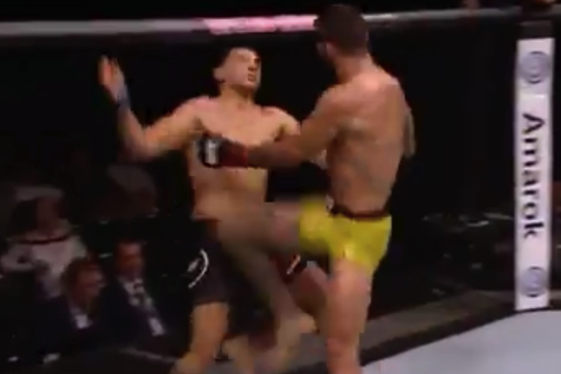 Highlights: Flying Knee Knockout Keeps UFC Sao Paulo Rolling 1 DosSantosKnee8