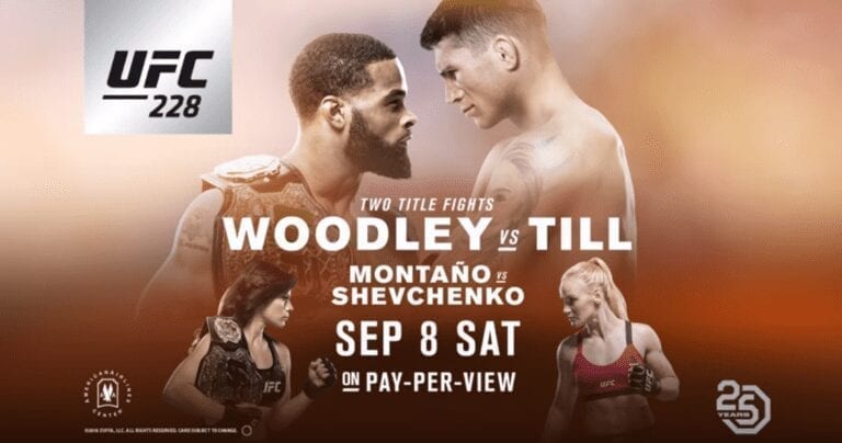 UFC 228