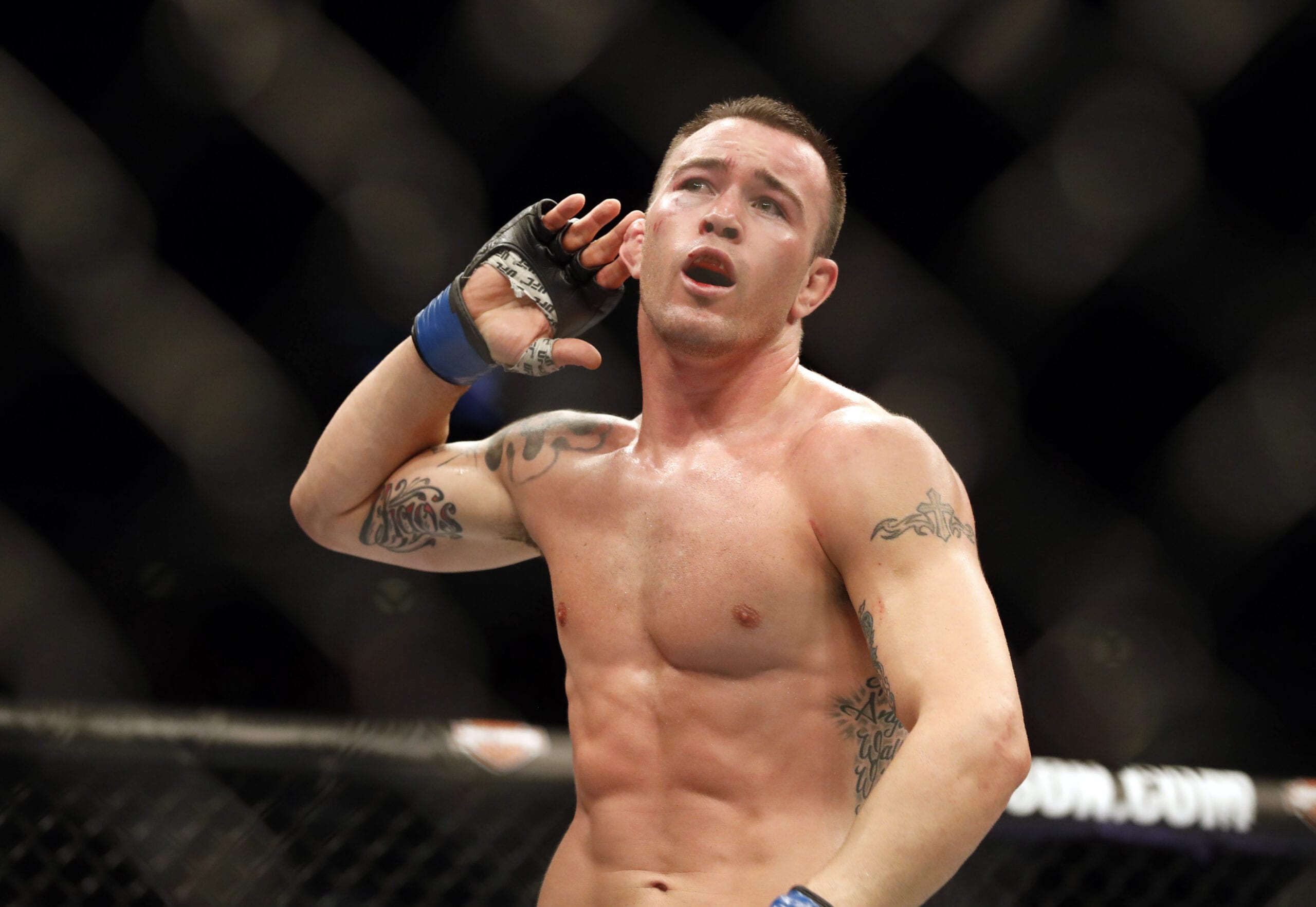 Colby Covington Teases Ditching UFC For WWE Career 1 USATSI 10116448