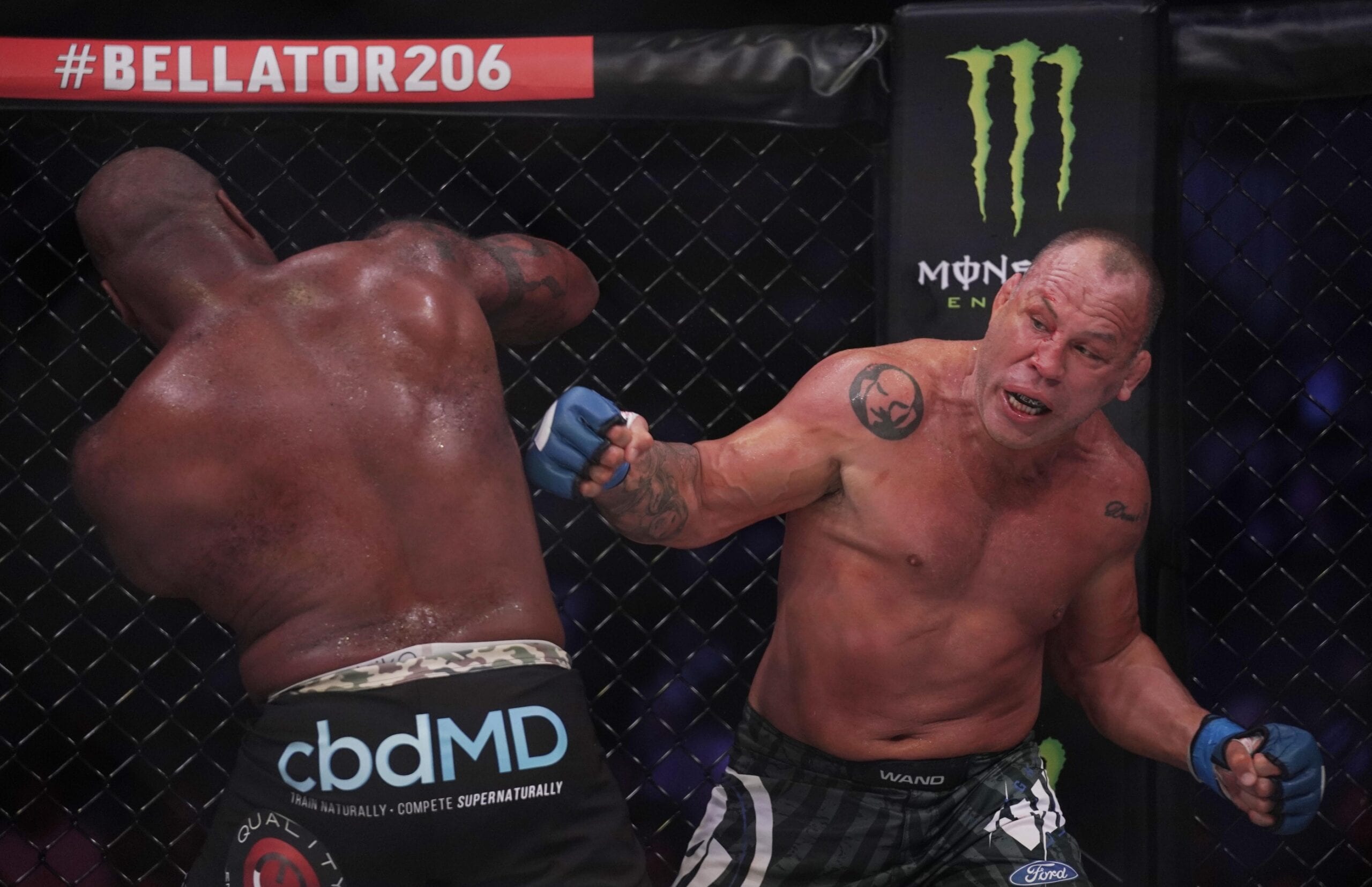 Bellator 206 Salaries