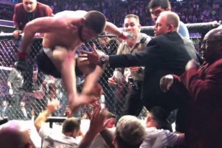 Quote: MMA Came To Its Lowest Point With UFC 229 Melee & Fans Love It