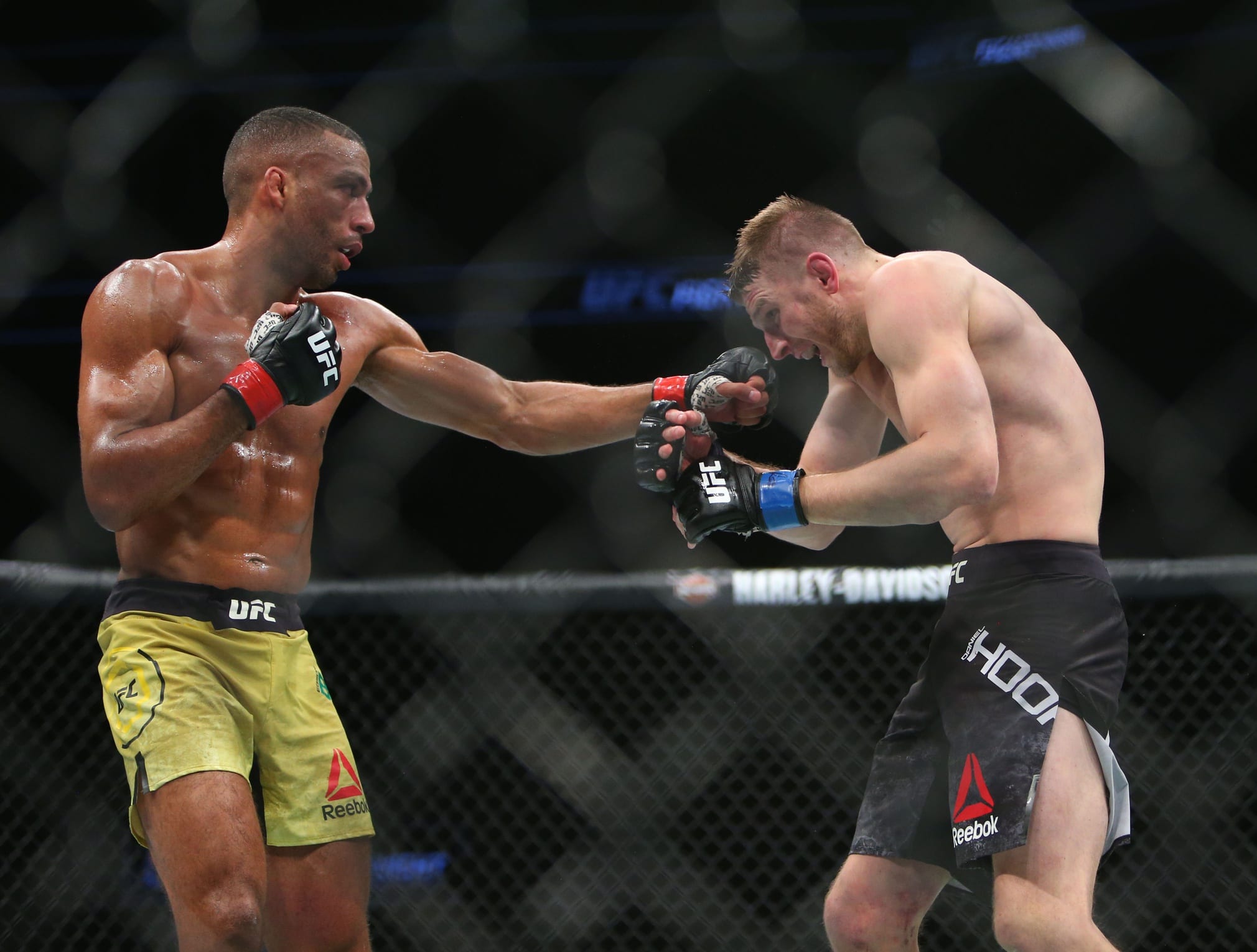 Dan Hooker Hospitalized Following Brutal Loss To Edson Barboza 1 USATSI 11853910 168382968 lowres