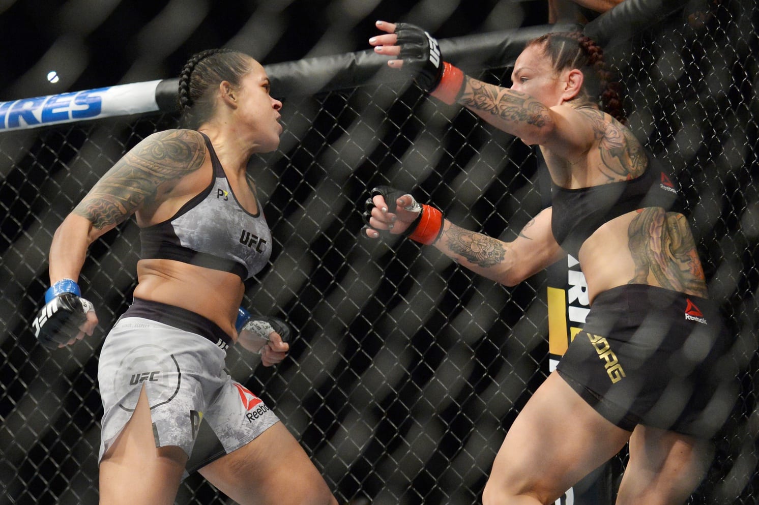 Quote: Cris Cyborg Beat Herself At UFC 232 1 USATSI 11917050 168382968 lowres