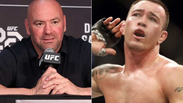 Colby Covington Takes Another Shot At UFC President Dana White