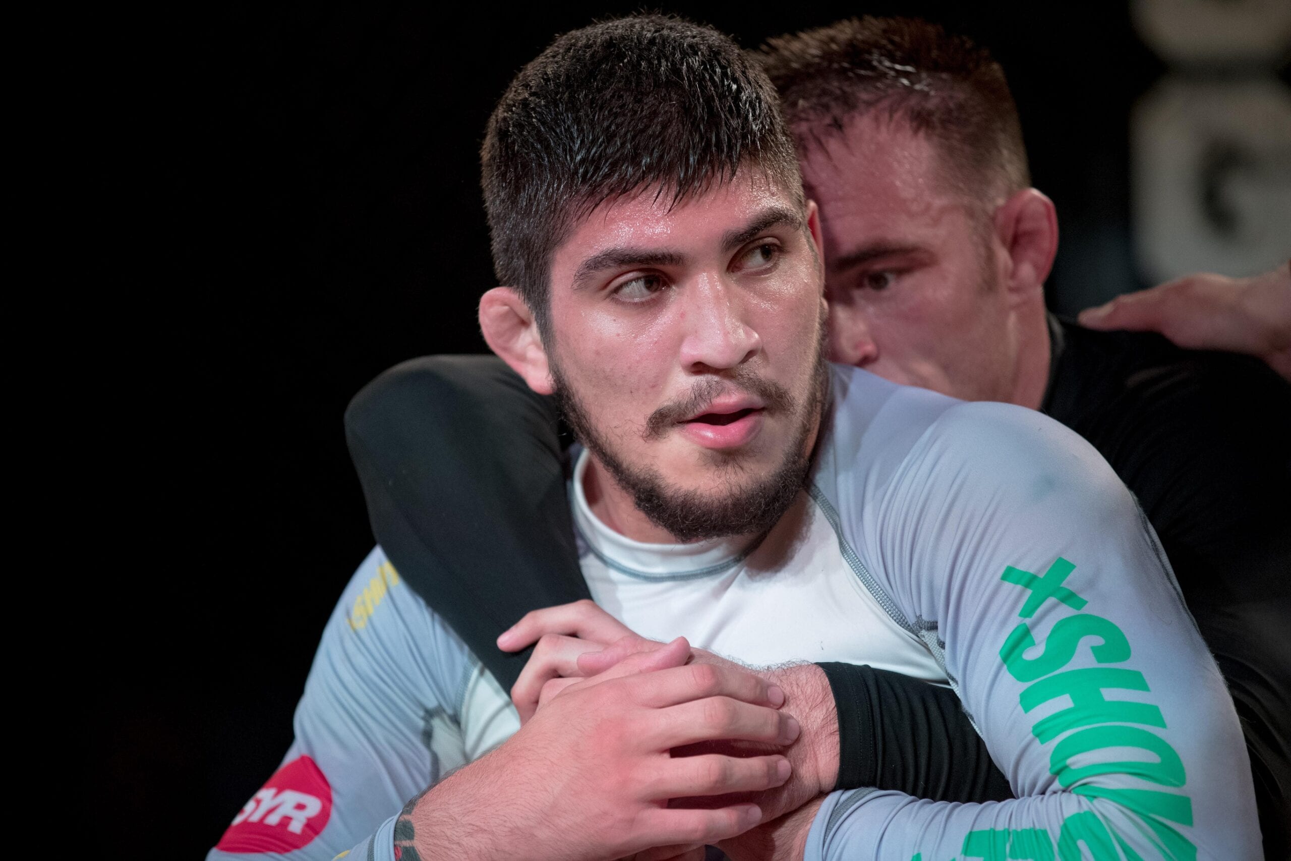 Jake Shields Absolutely Destroys Dillon Danis