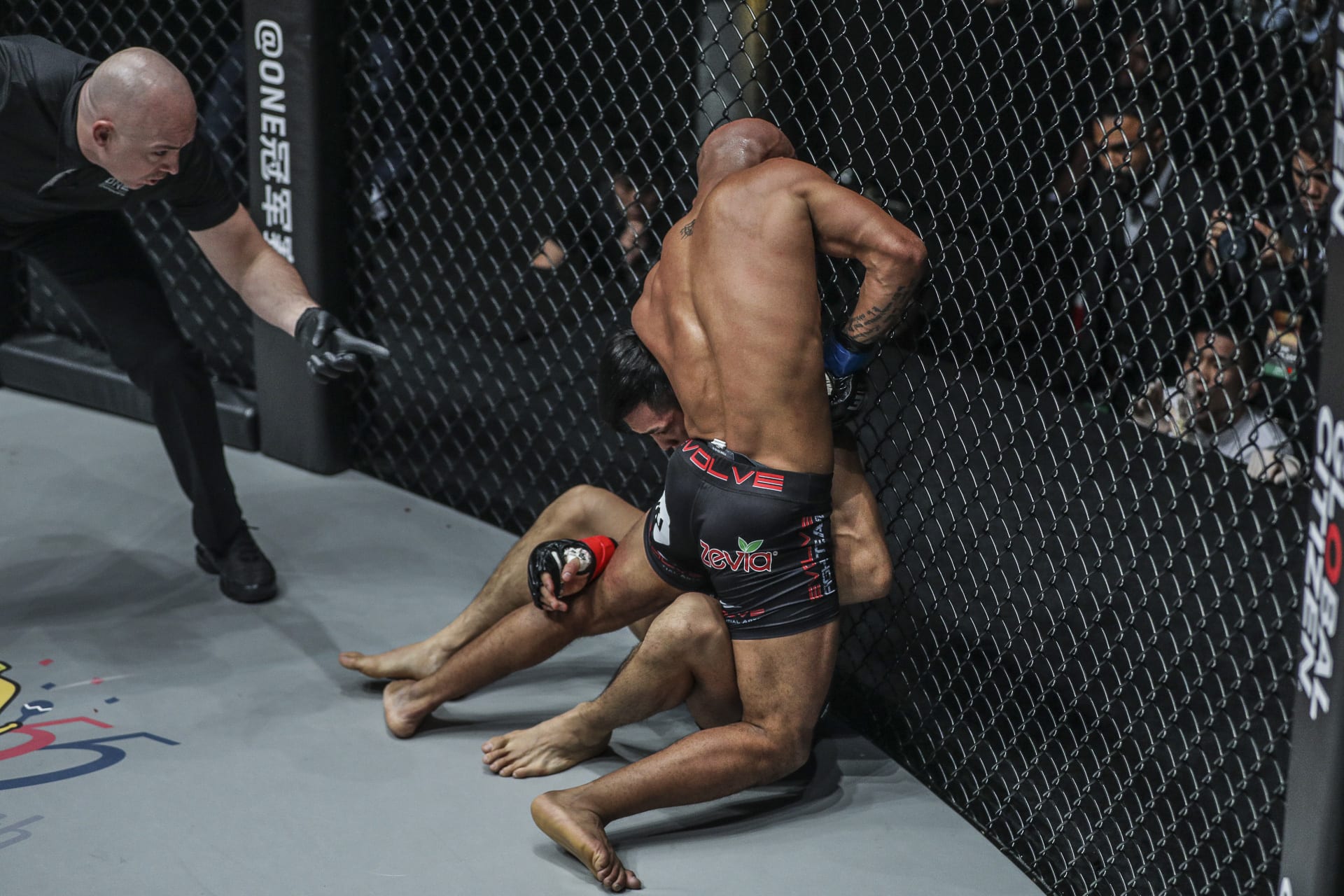 Fight ending. Деметриус Джонсон one Championship. Могучий мышонок боец UFC. Деметриус Джонсон рекорд ММА. Demetrious Johnson vs one Championship.