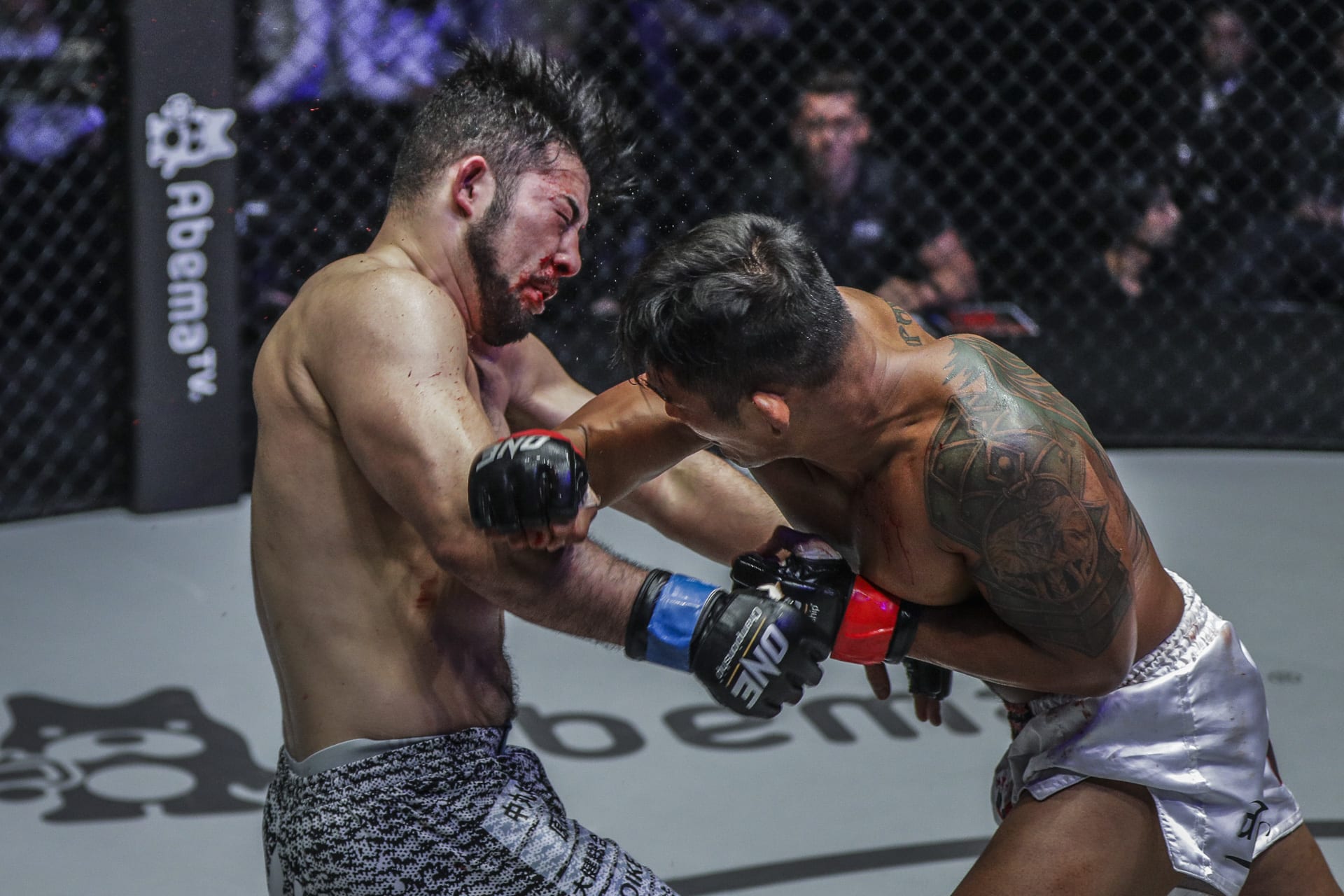Highlights: 'The Burmese Python' Floors Hasegawa With Insane Right Hand 1 DC 7741