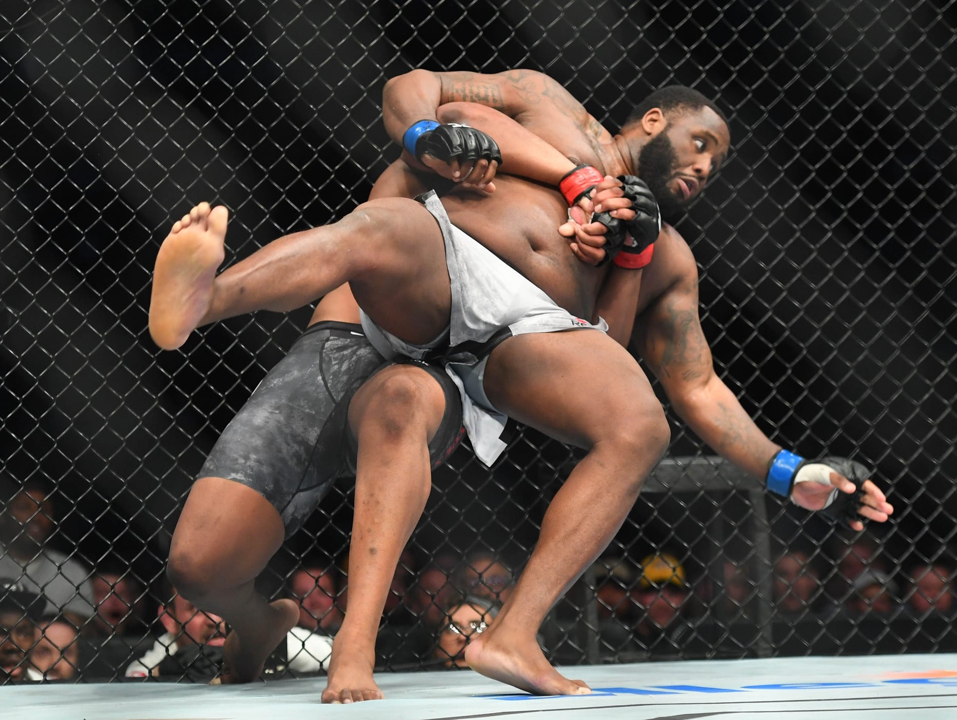 Муай Тай UFC