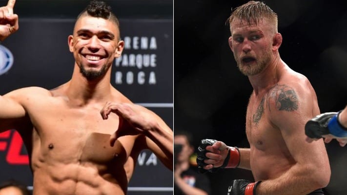 Johnny Walker Wants Alexander Gustafsson For Octagon Return