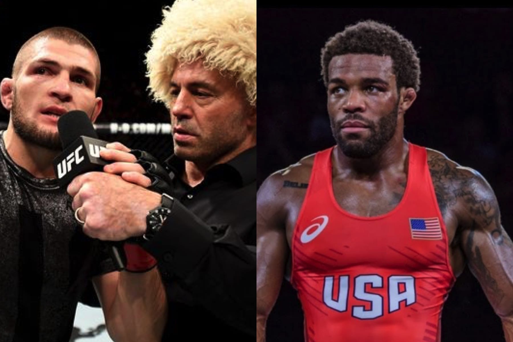 Joe Rogan Calls For Khabib Vs. Jordan Burroughs In MMA, image size:1800x1200