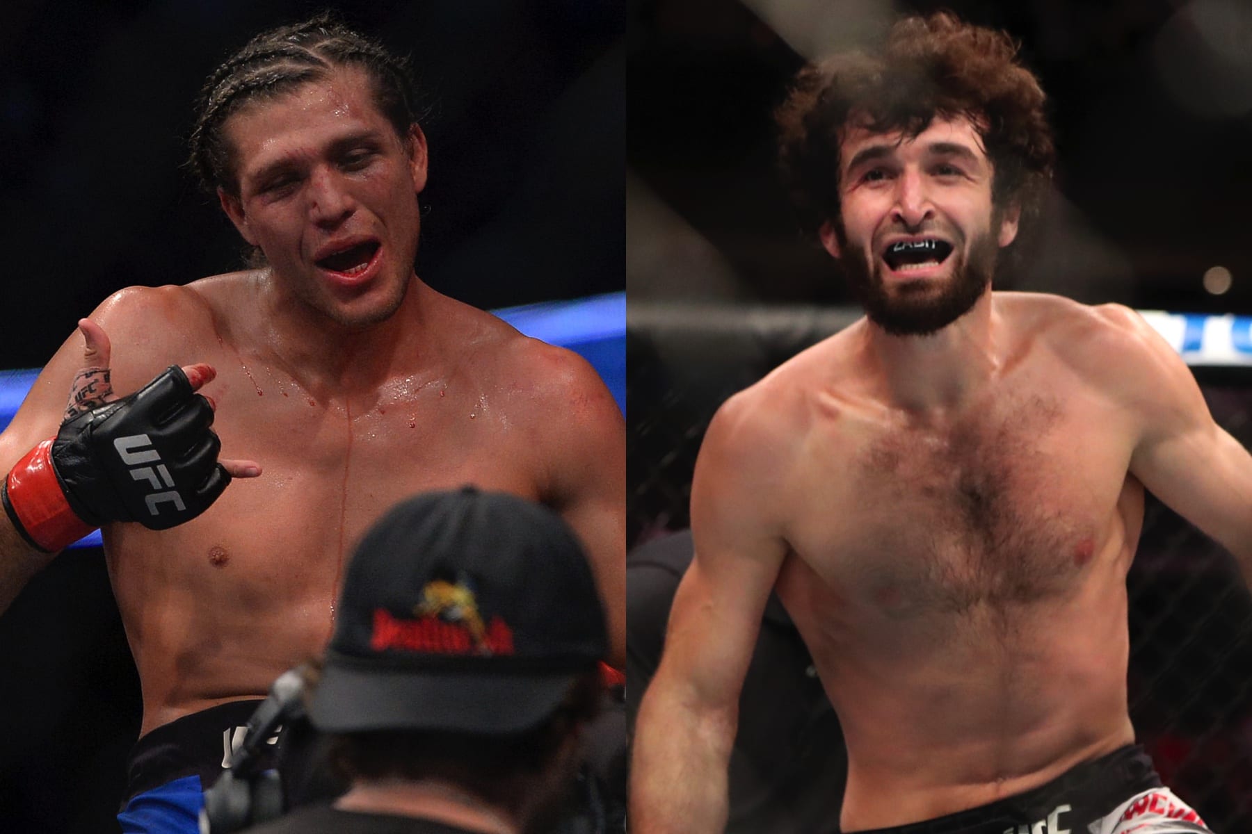 UFC Магомедшарипов арт