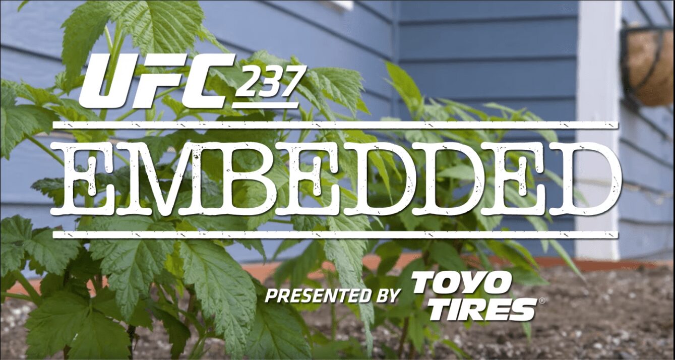 UFC 237 embedded