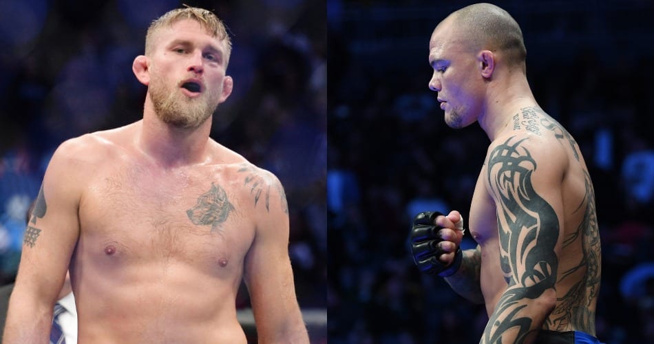 Alexander Gustafsson and Anthony Smith